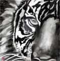 Tiger Triptic 2
