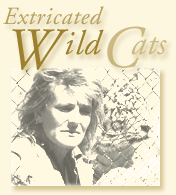Extricated Wild Cats