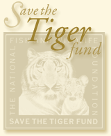 Save the Tiger fund